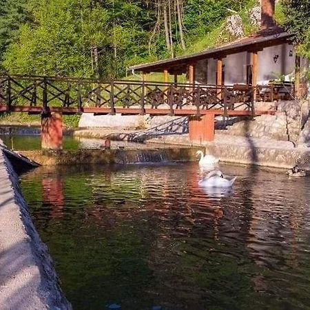 Apartament Valja Mare Moma Golubac Zewnętrze zdjęcie