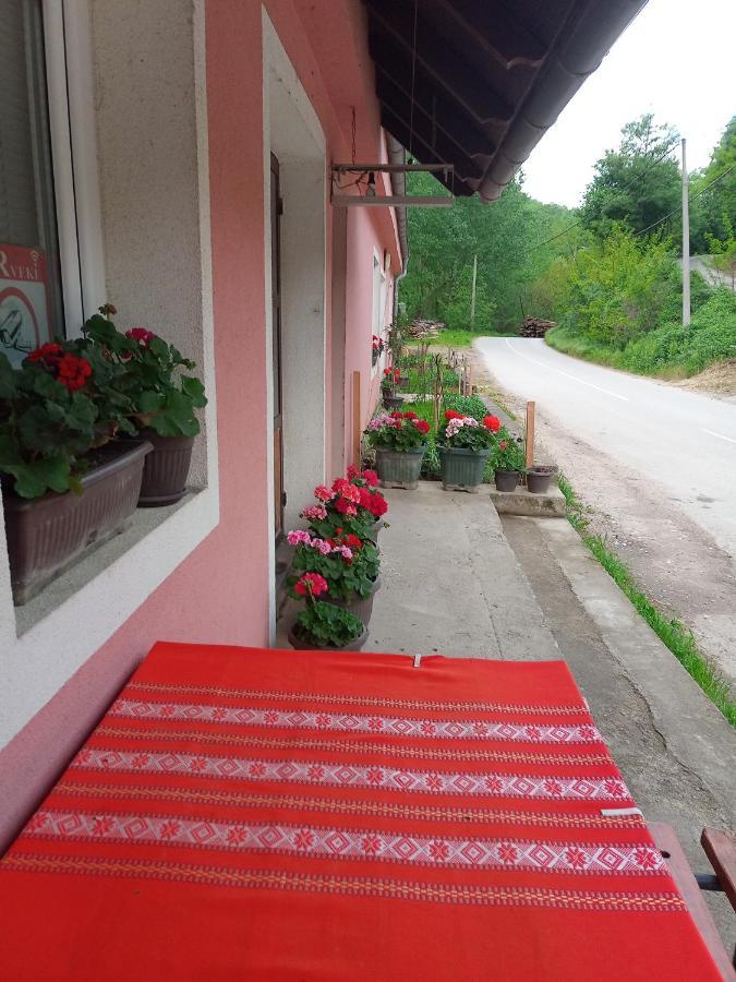 Apartament Valja Mare Moma Golubac Zewnętrze zdjęcie