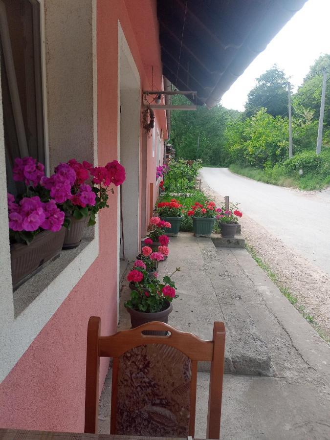 Apartament Valja Mare Moma Golubac Zewnętrze zdjęcie