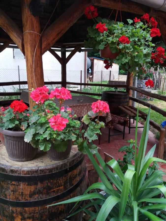 Apartament Valja Mare Moma Golubac Zewnętrze zdjęcie