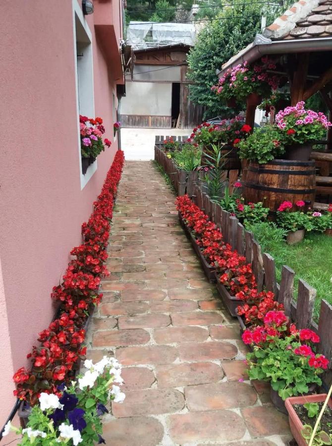 Apartament Valja Mare Moma Golubac Zewnętrze zdjęcie